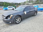 Nissan Maxima 2005