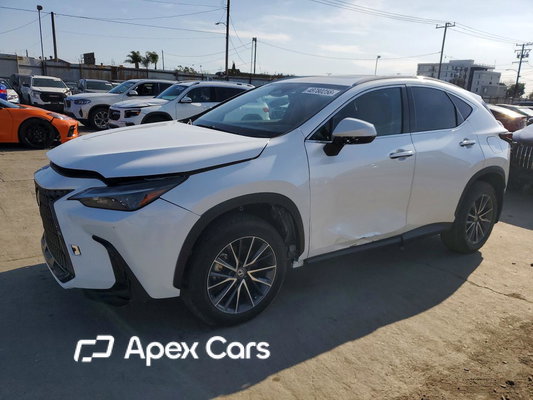 Lexus NX 2024 - Zdjęcie 1 z 13