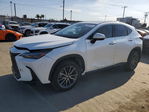 Lexus NX 2024