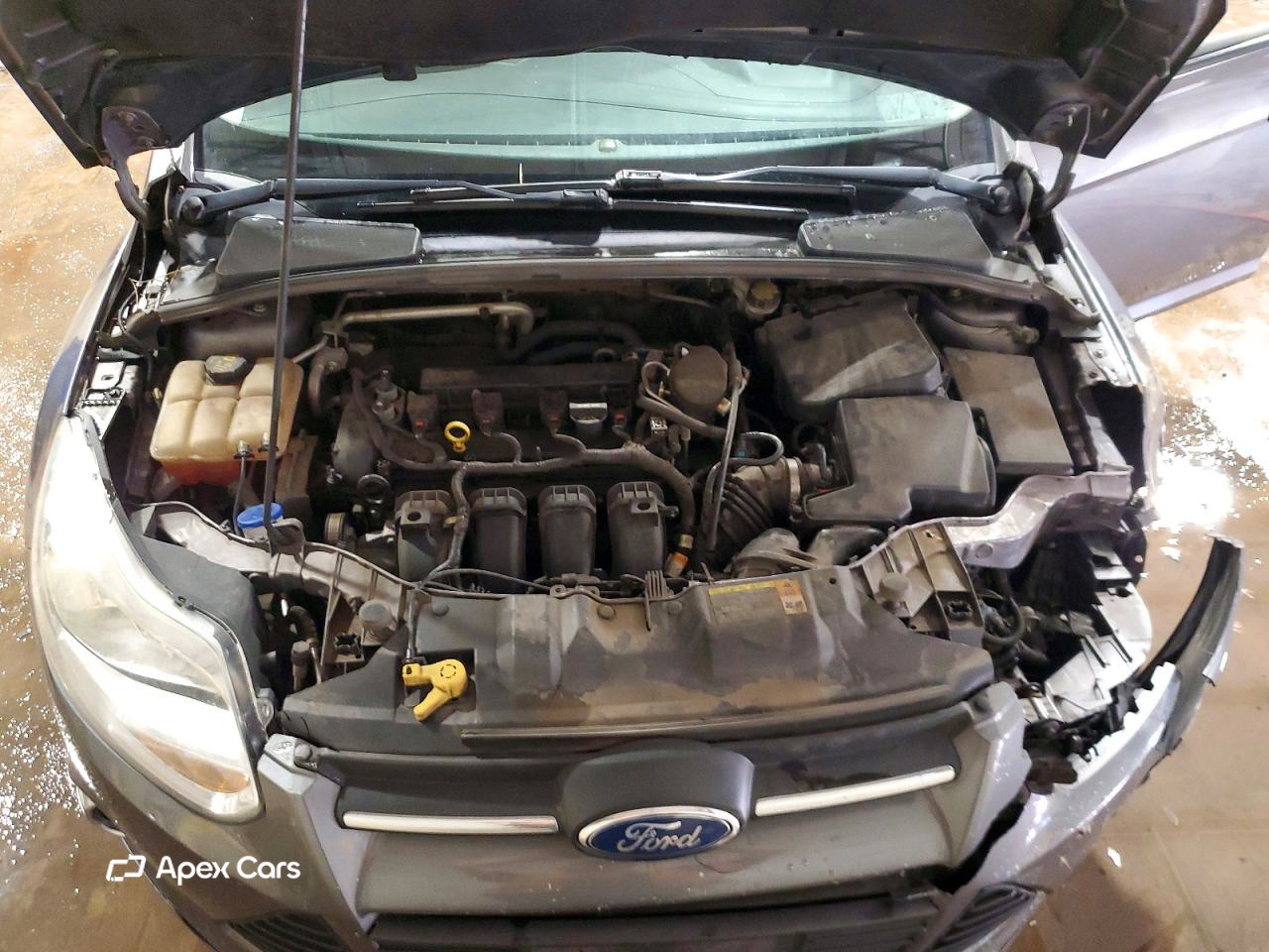 Ford Focus 2014