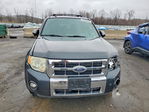 Ford Escape 2008