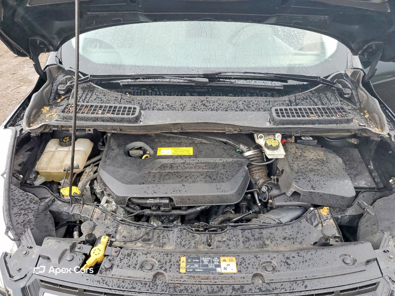 Ford Escape 2015