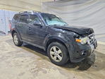 Ford Escape 2011