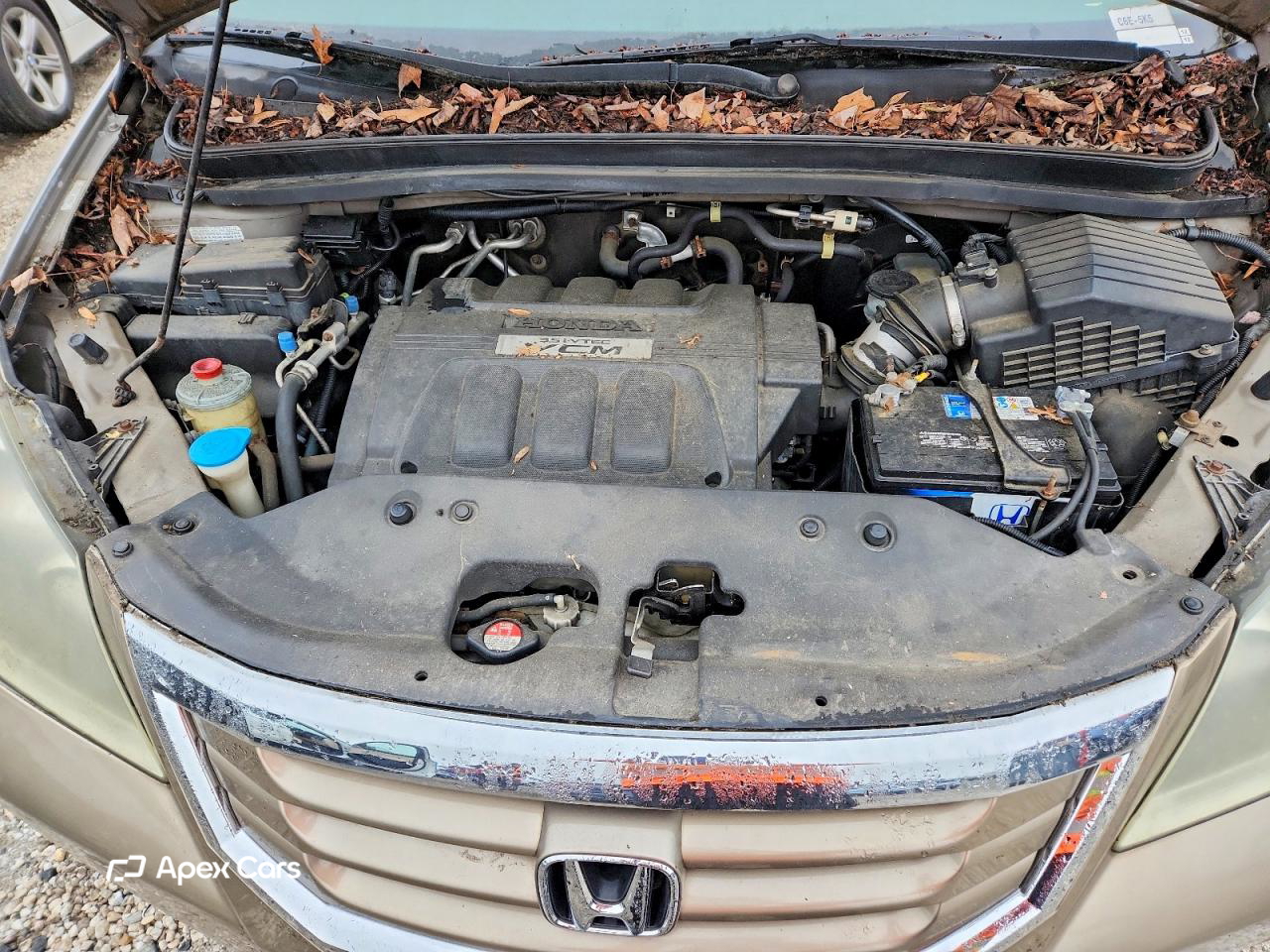 Honda Odyssey 2008