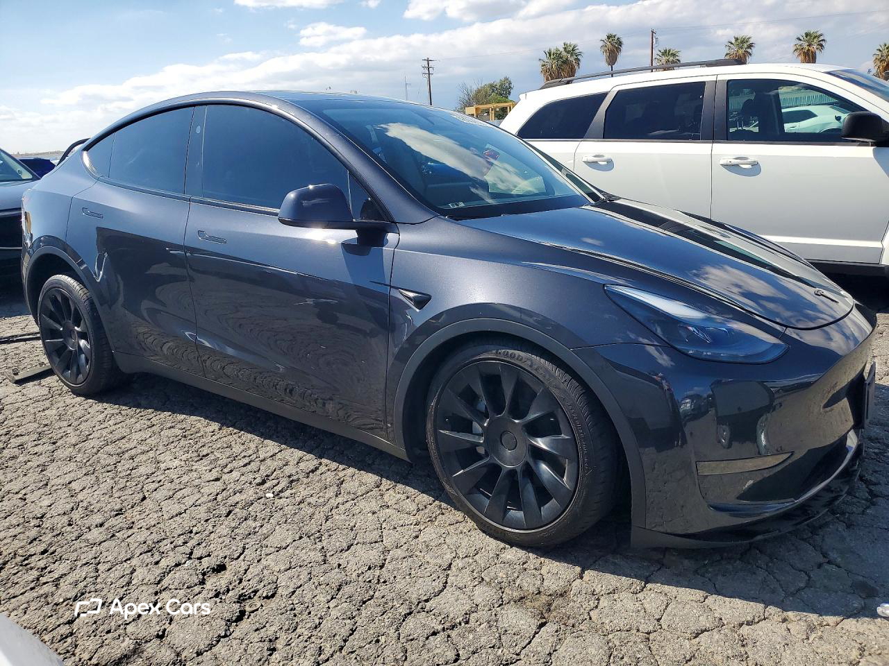 Tesla Model Y 2024