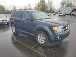 Ford Escape 2011