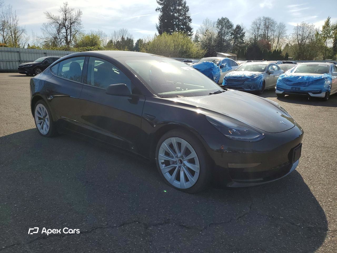 Tesla Model 3 2022
