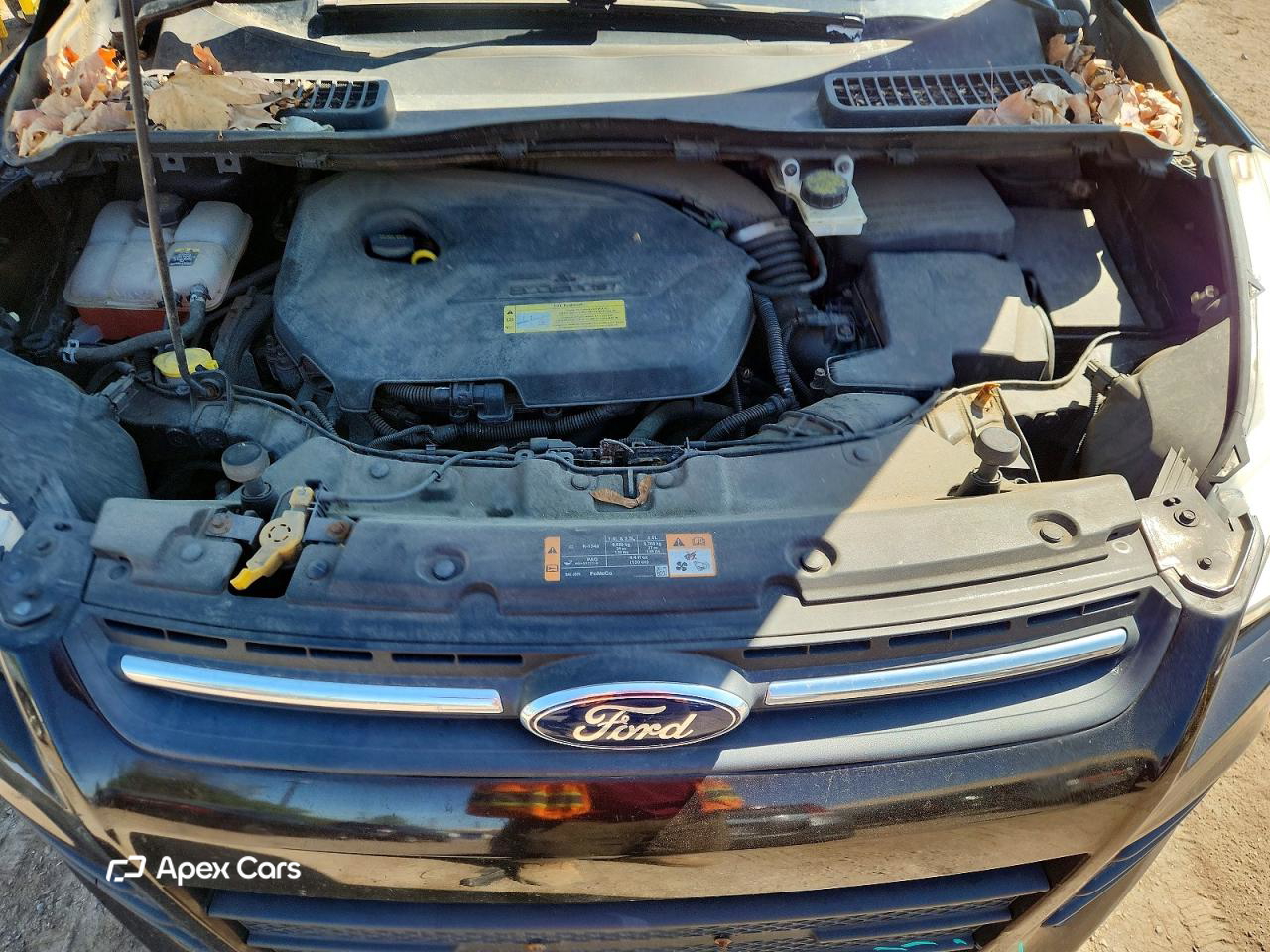 Ford Escape 2013
