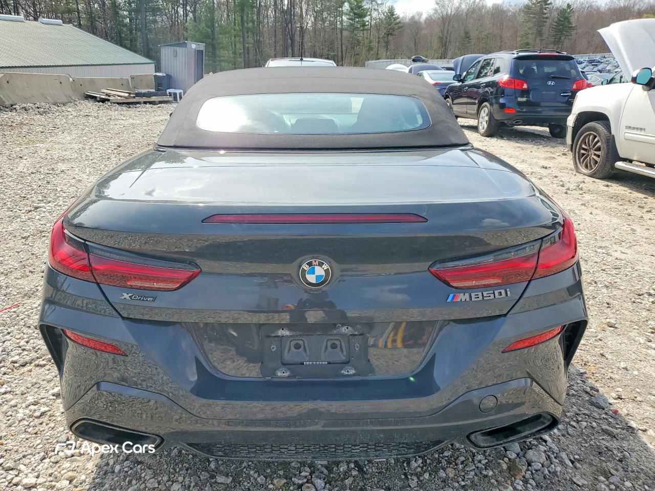 BMW M8 2019