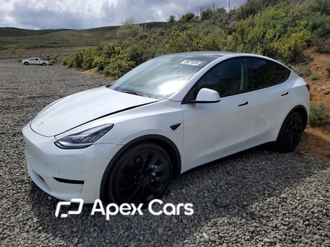 Tesla Model Y 2023 - Image 1 of 12