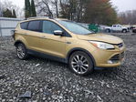 Ford Escape 2014