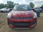 Ford Escape 2014