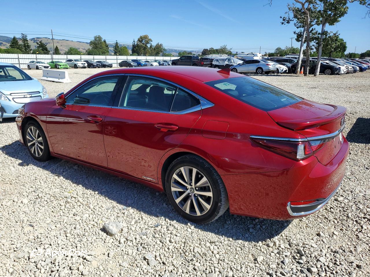Lexus ES 2020
