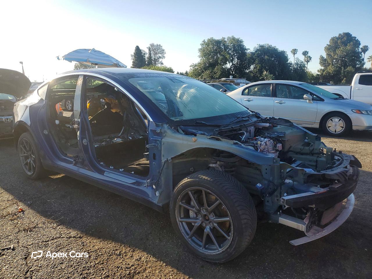 Tesla Model 3 2019