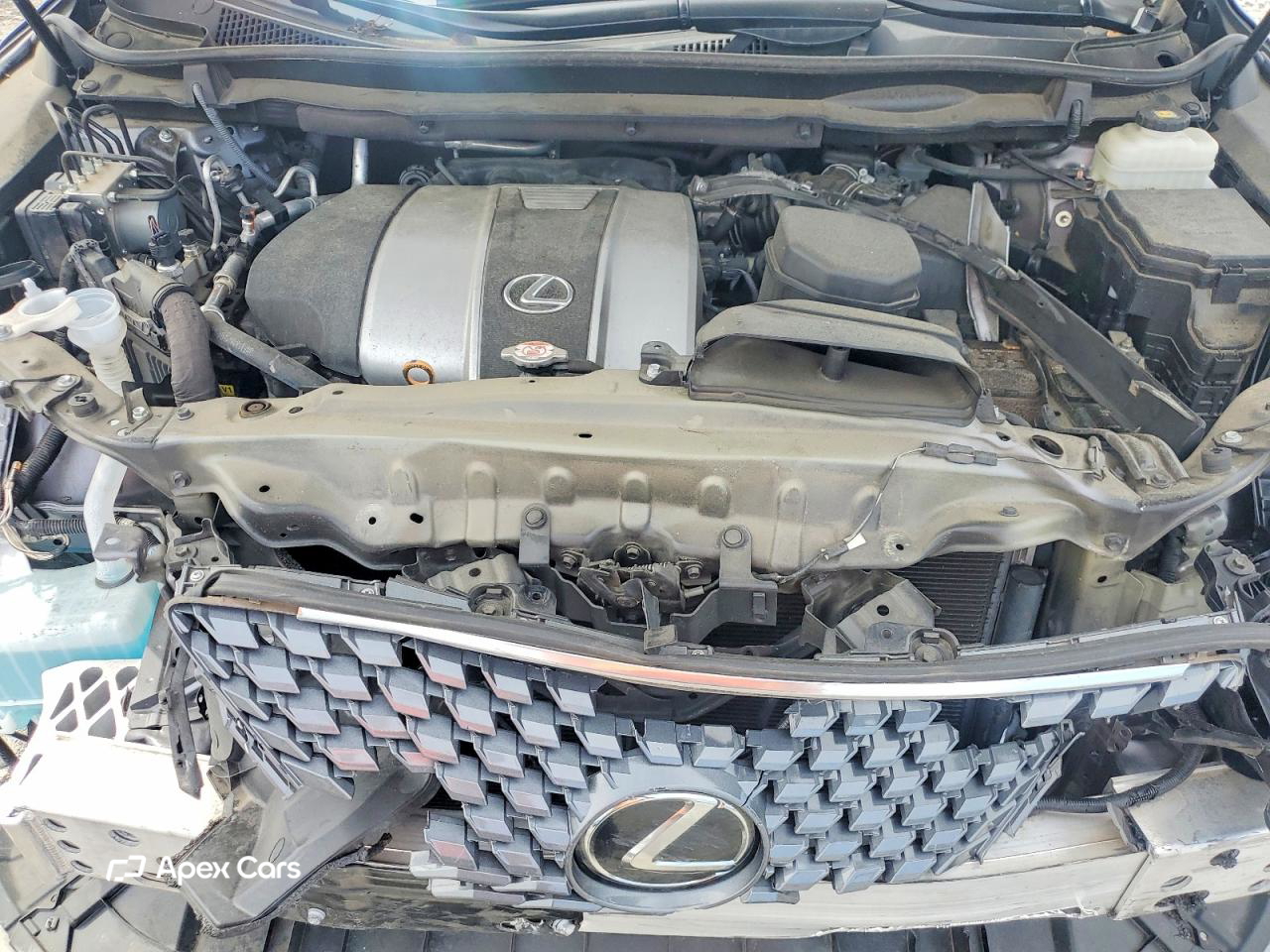 Lexus RX 2022
