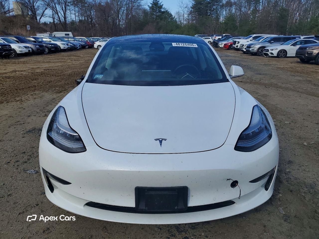 Tesla Model 3 2020