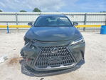 Lexus NX 2024
