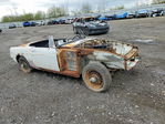 MG  1973