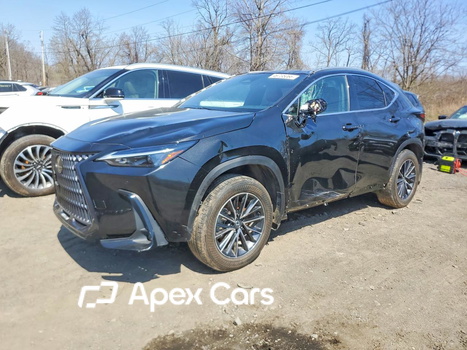 Lexus NX 2025 - Zdjęcie 1 z 13