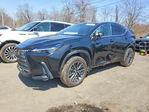 Lexus NX 2025