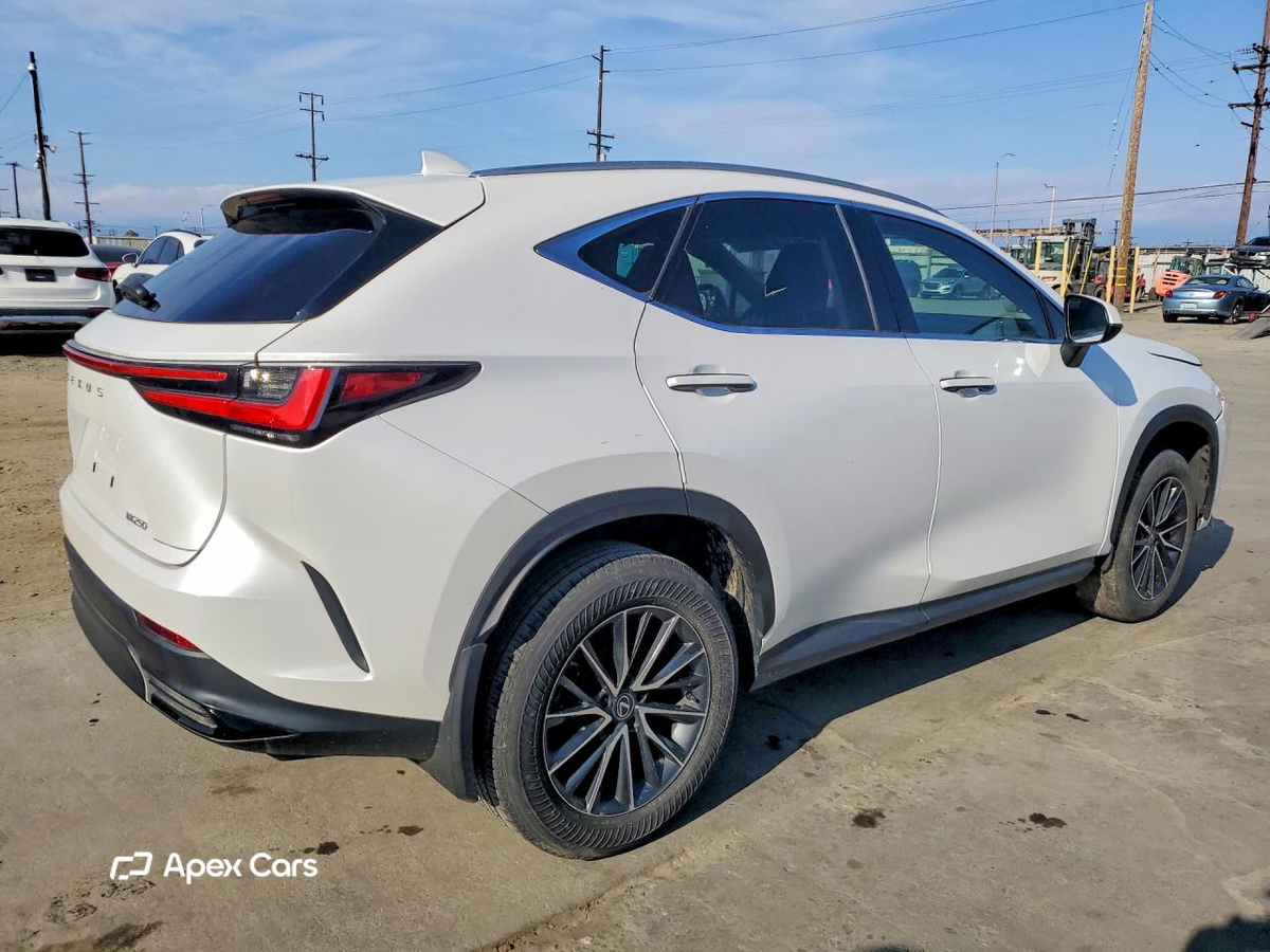 Lexus NX 2024