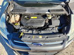 Ford Escape 2014