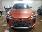 Lexus RX 2024