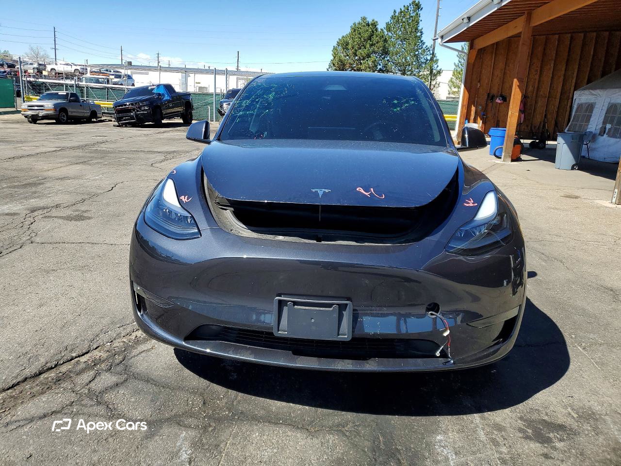 Tesla Model Y 2024