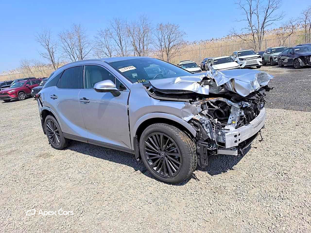 Lexus RX 2024