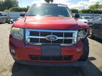 Ford Escape 2012