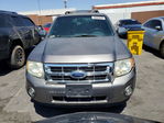 Ford Escape 2009