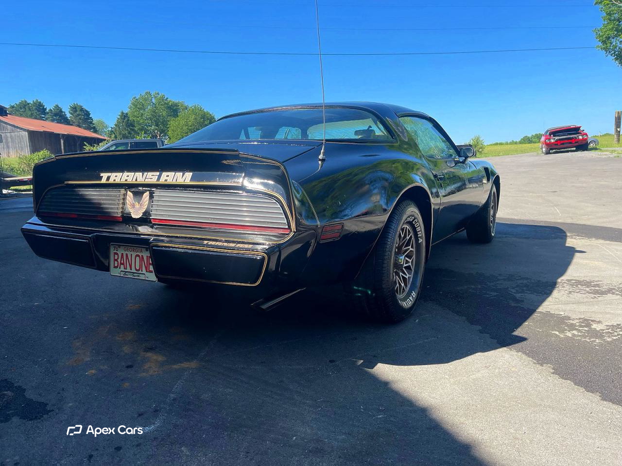 Pontiac Firebird 1981