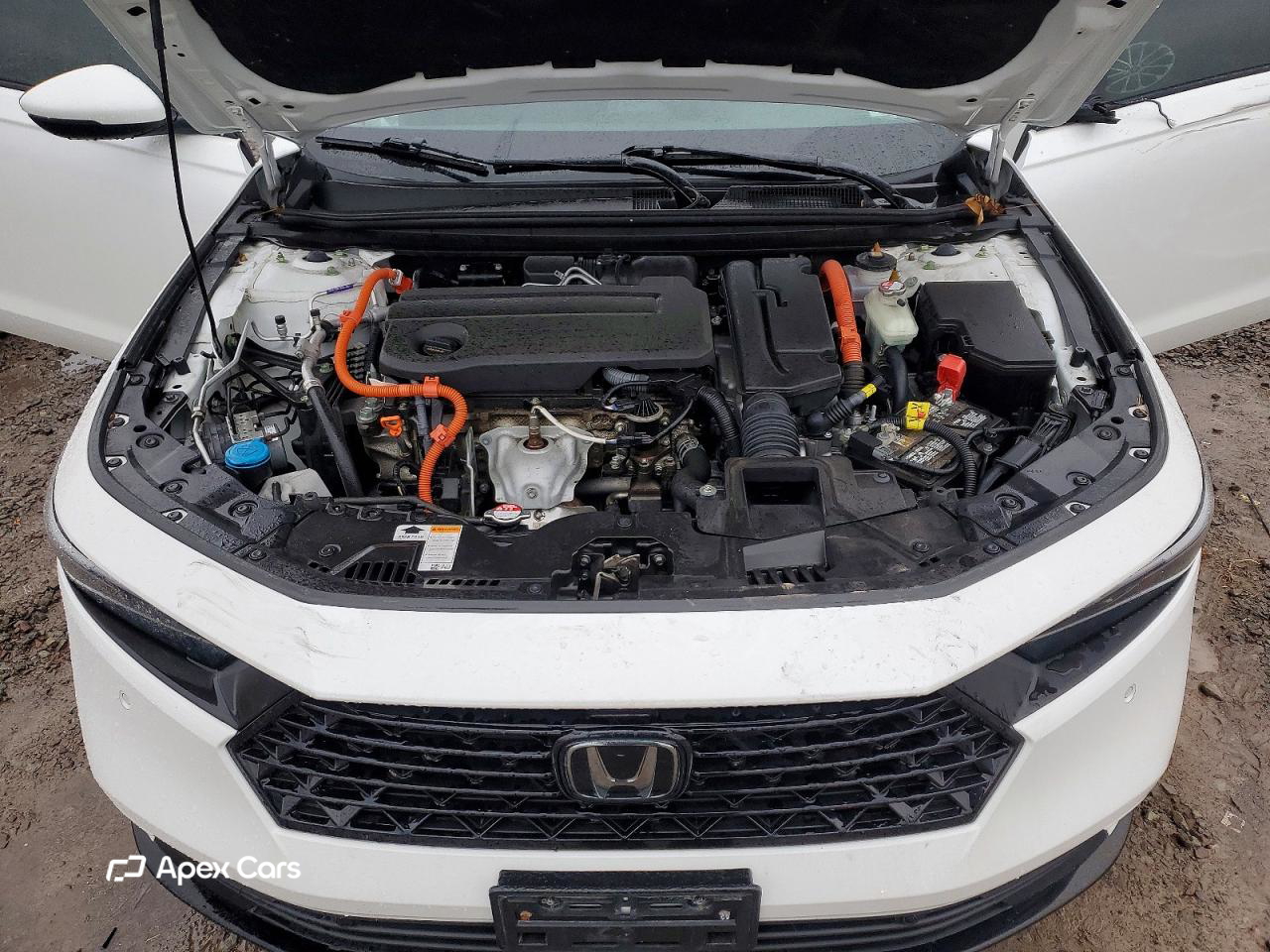 Honda Accord 2024