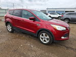 Ford Escape 2014