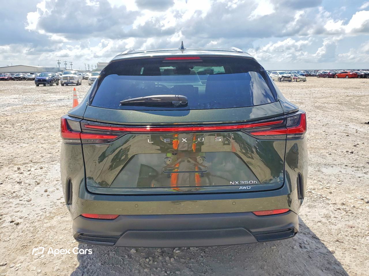 Lexus NX 2024