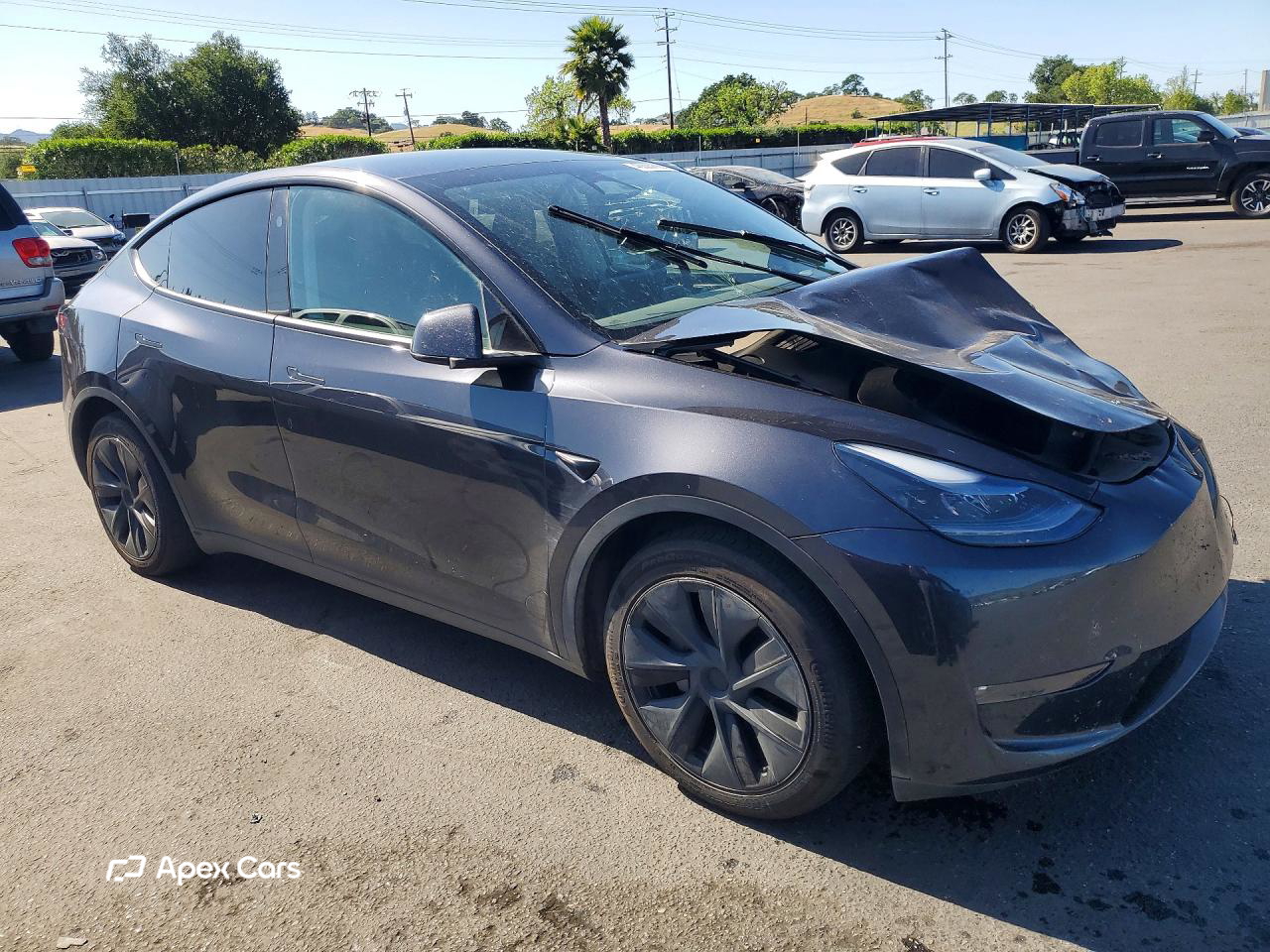 Tesla Model Y 2024