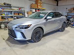 Lexus RX 2024
