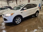 Ford Escape 2014
