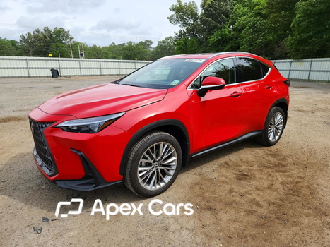 Lexus NX 2025 - Image 1 of 15