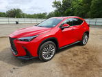 Lexus NX 2025