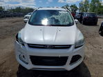 Ford Escape 2016