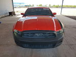Ford Mustang 2013