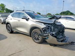 Lexus NX 2026