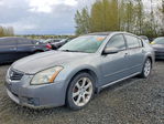 Nissan Maxima 2007