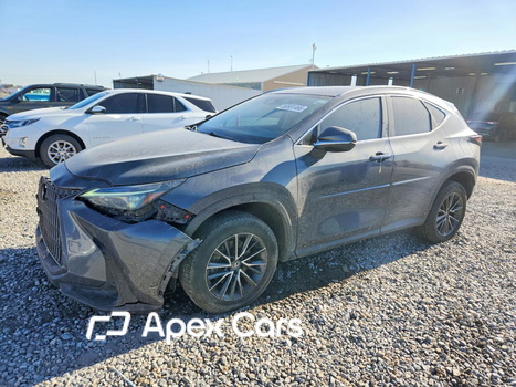 Lexus NX 2022 - Image 1 of 14