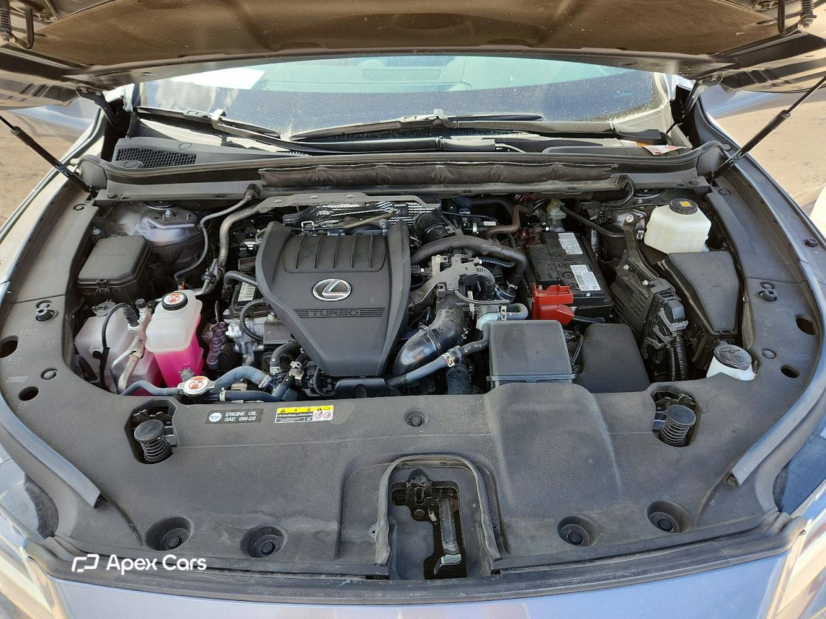 Lexus RX 2023