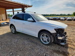 Audi Q5 2015