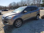 Ford Escape 2014