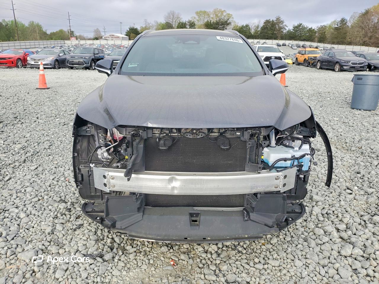 Lexus RX 2025