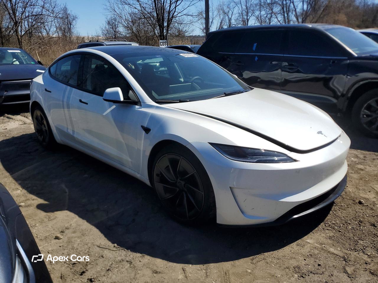 Tesla Model 3 2025